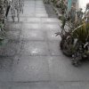 PHOTO-2020-01-13-09-56-01_3